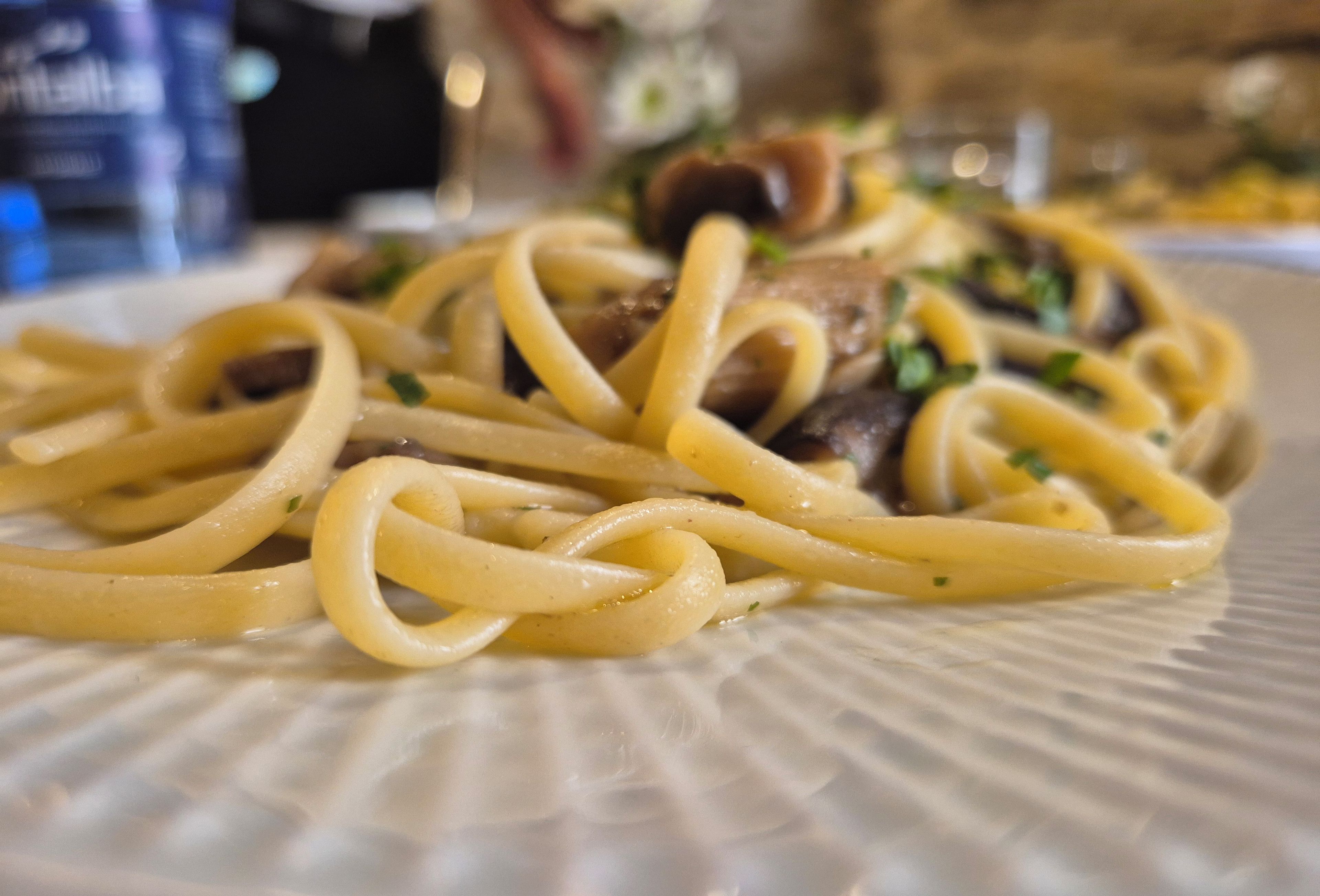 A plate of pasta with a creamy sauce and mushrooms.