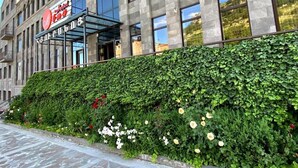 Un edificio con fachada moderna, un acceso cubierto y un seto verde frondoso con flores.
