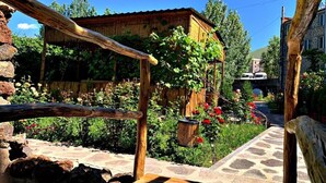 Un jardín rústico con una pérgola de madera, un camino de piedra y una pequeña construcción de madera con plantas trepadoras.