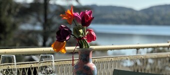Green Appartament Apartment, Lake view surrounded by greenery