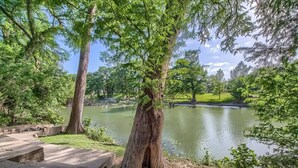 Un parc avec un étang, des arbres et un chemin en béton.