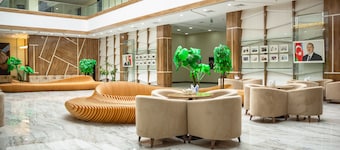Arena Hotel Beylagan