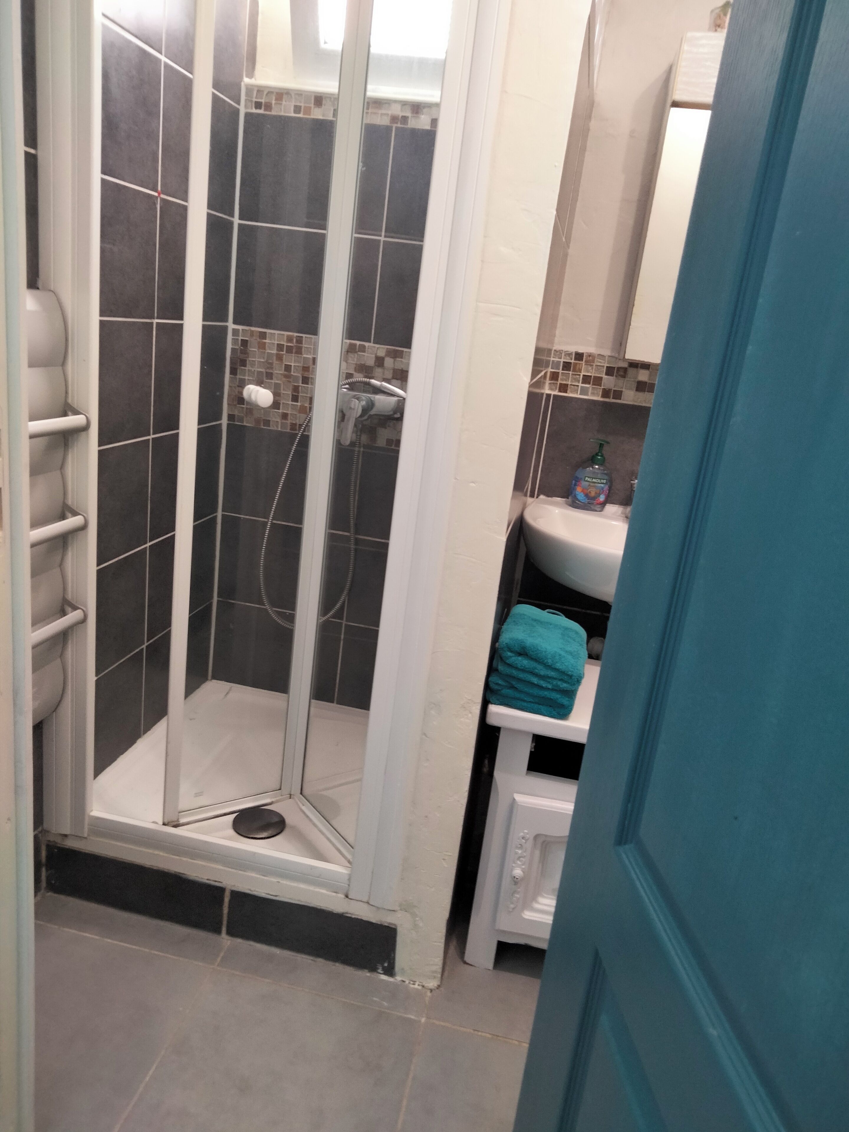 Ducha, toallas, papel higiénico