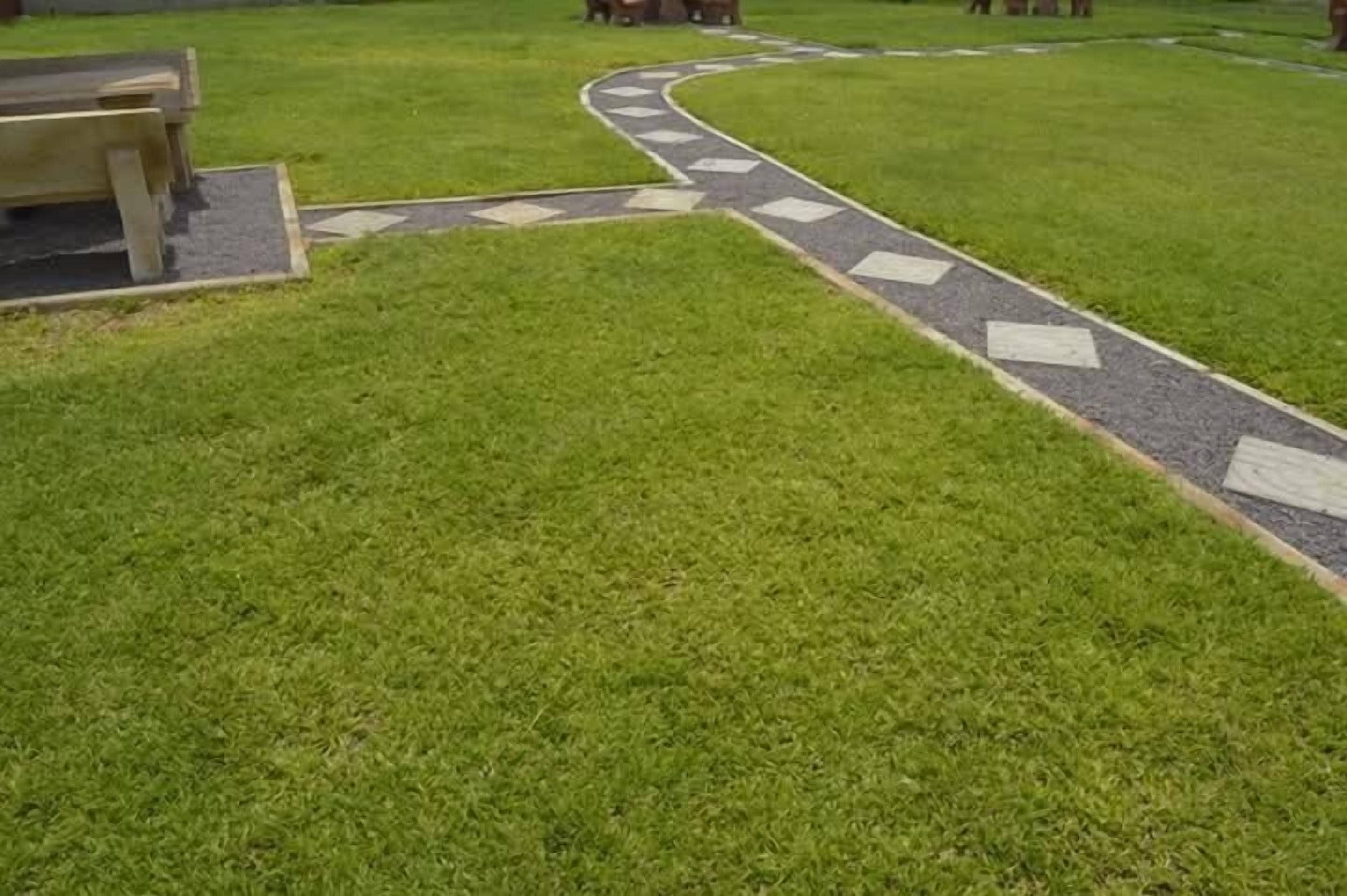 Children’s activities