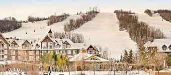 Rustic Mountainside Chalet