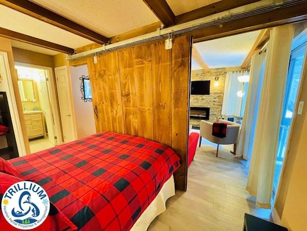 Apartment, 1 Queen Bed with Sofa bed, Non Smoking, Pets not allowed | Iron/ironing board, free WiFi, bed sheets