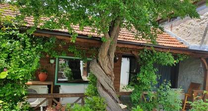 Guesthouse Villa India A-Frame