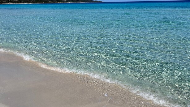Ein Strand mit klarem Wasser, einem sandigen Ufer und sanften Hügeln in der Ferne.