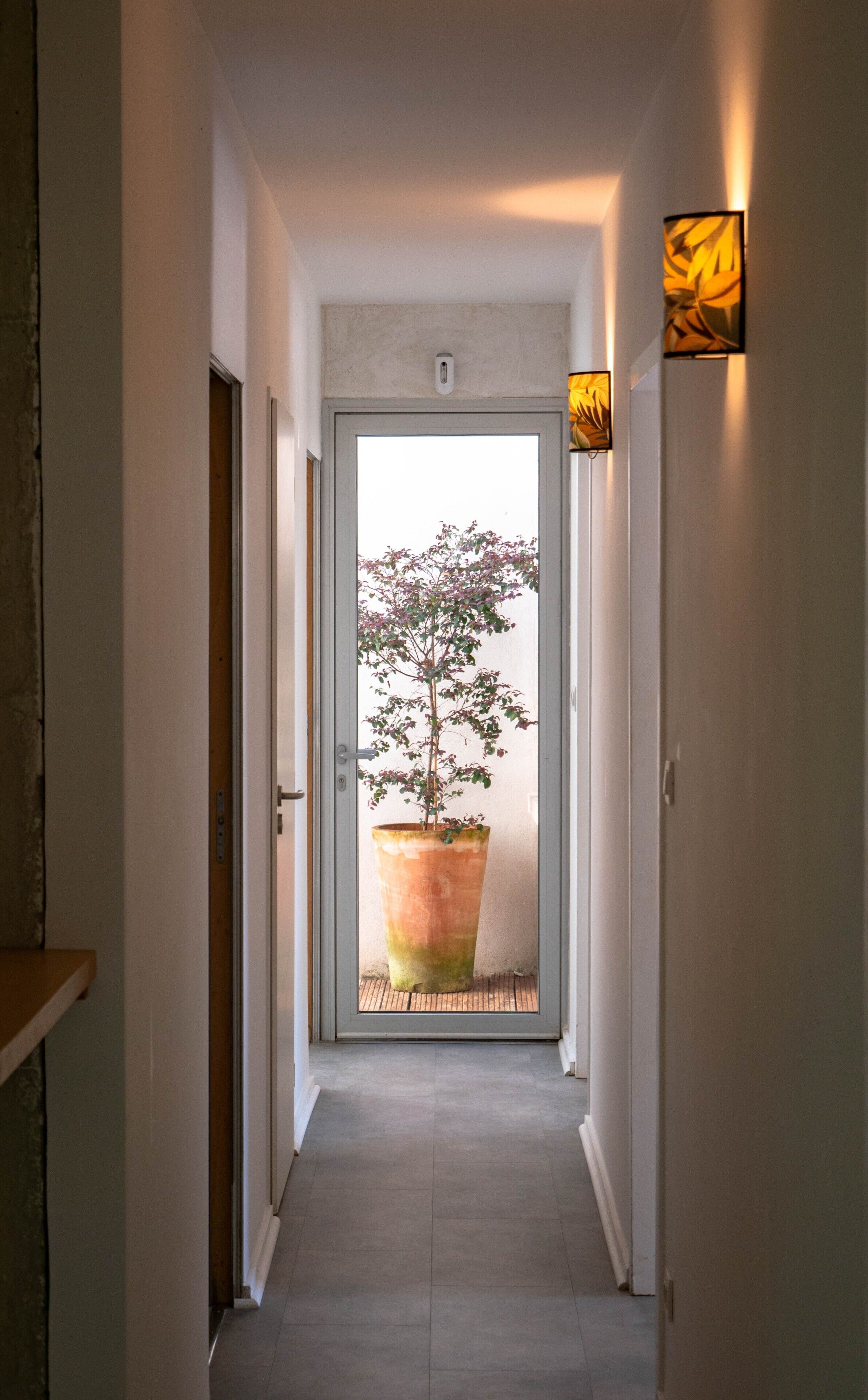 A hallway with a potted plant, a door, and a wall-mounted light fixture.