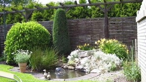 A garden with a pond, ducks, and various plants. - Apartment 'Einzelzimmer' with Wi-Fi (Cuxhaven)