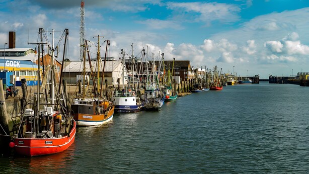 A harbor with multiple boats docked along the water. - Apartment 'Einzelzimmer' with Wi-Fi (Cuxhaven)