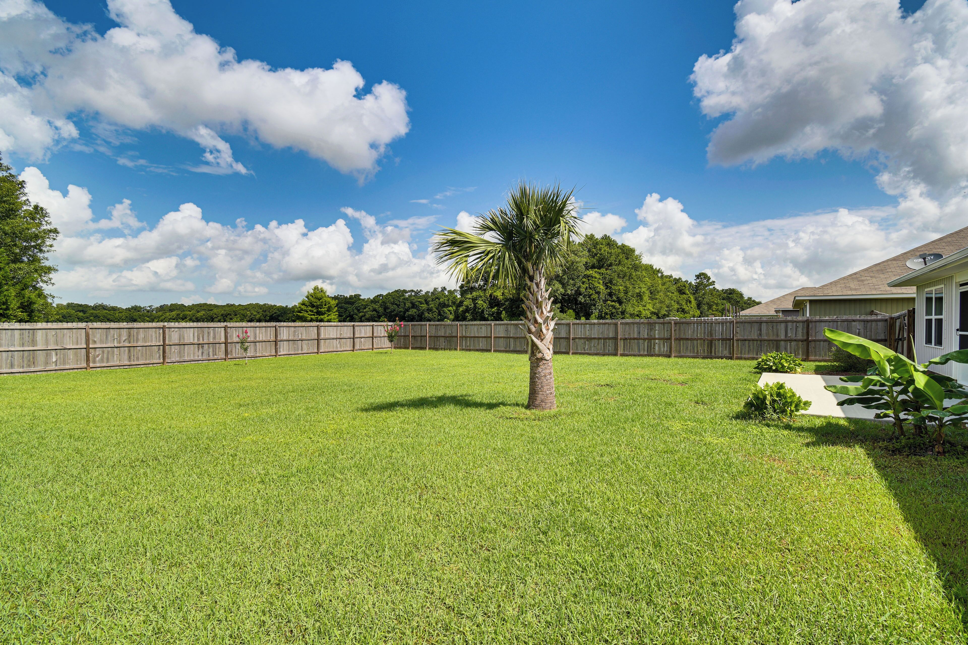 A backyard with a well-maintained lawn, a palm tree, and a wooden fence.