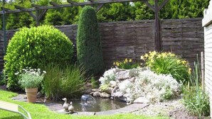 A garden with a pond, ducks, and various plants.