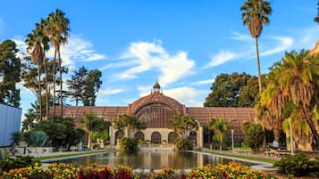 Leilighet | 1 soverom og internett