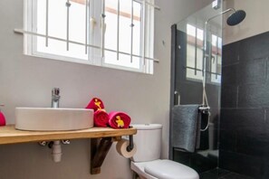 Regadera, secadora de cabello, toallas, jabón 