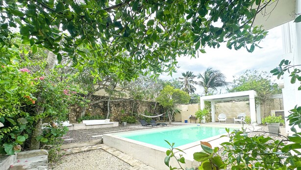 A swimming pool surrounded by greenery, with a hammock and lounge chairs.