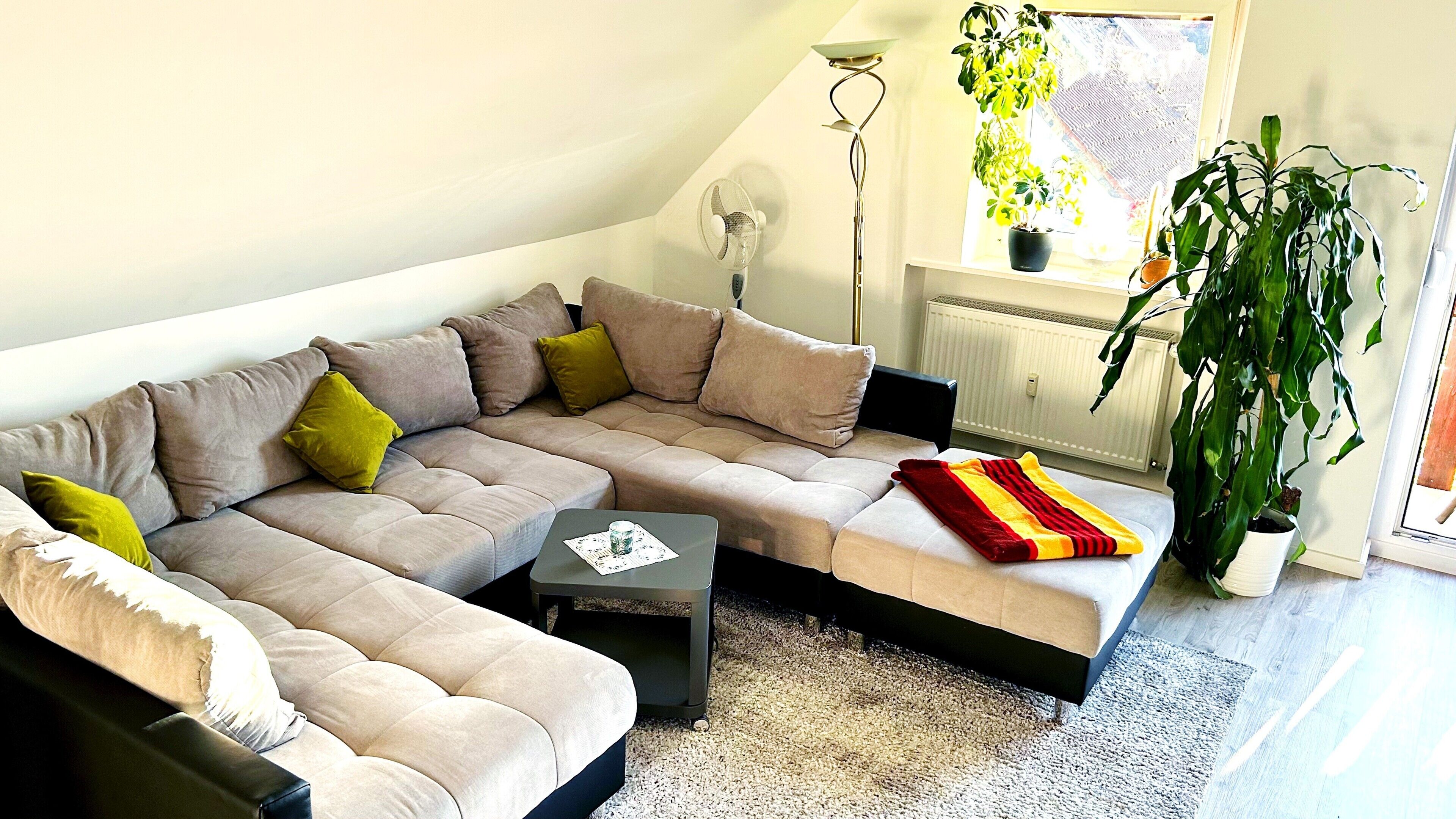 Fernseher, Kamin