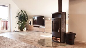 Una sala de estar moderna con chimenea, televisor, planta y un ventanal grande.