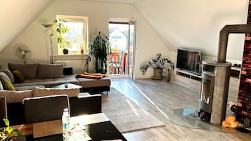 Télévision, cheminée