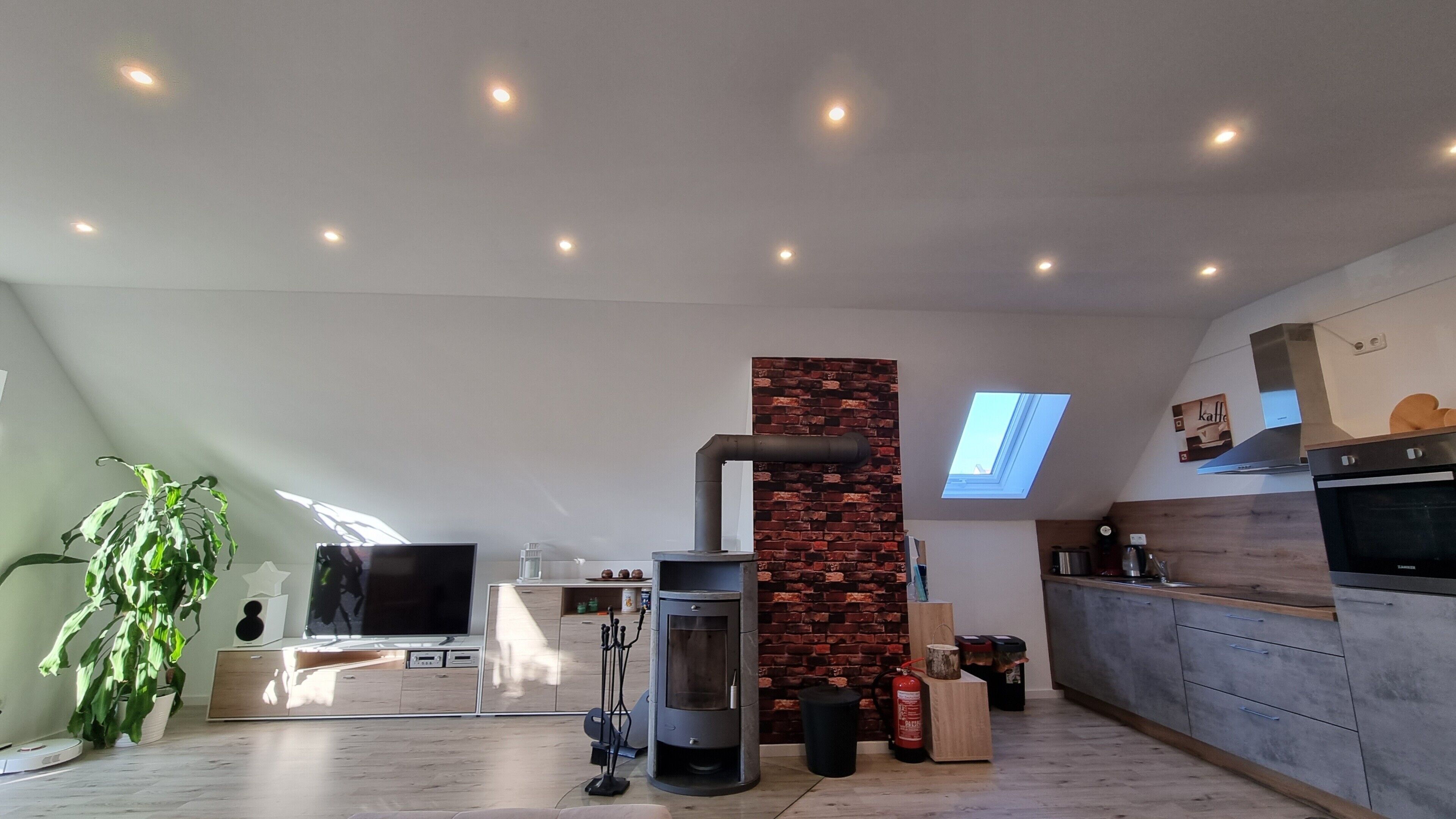 Una cocina moderna con estufa integrada, tragaluz y una planta grande.