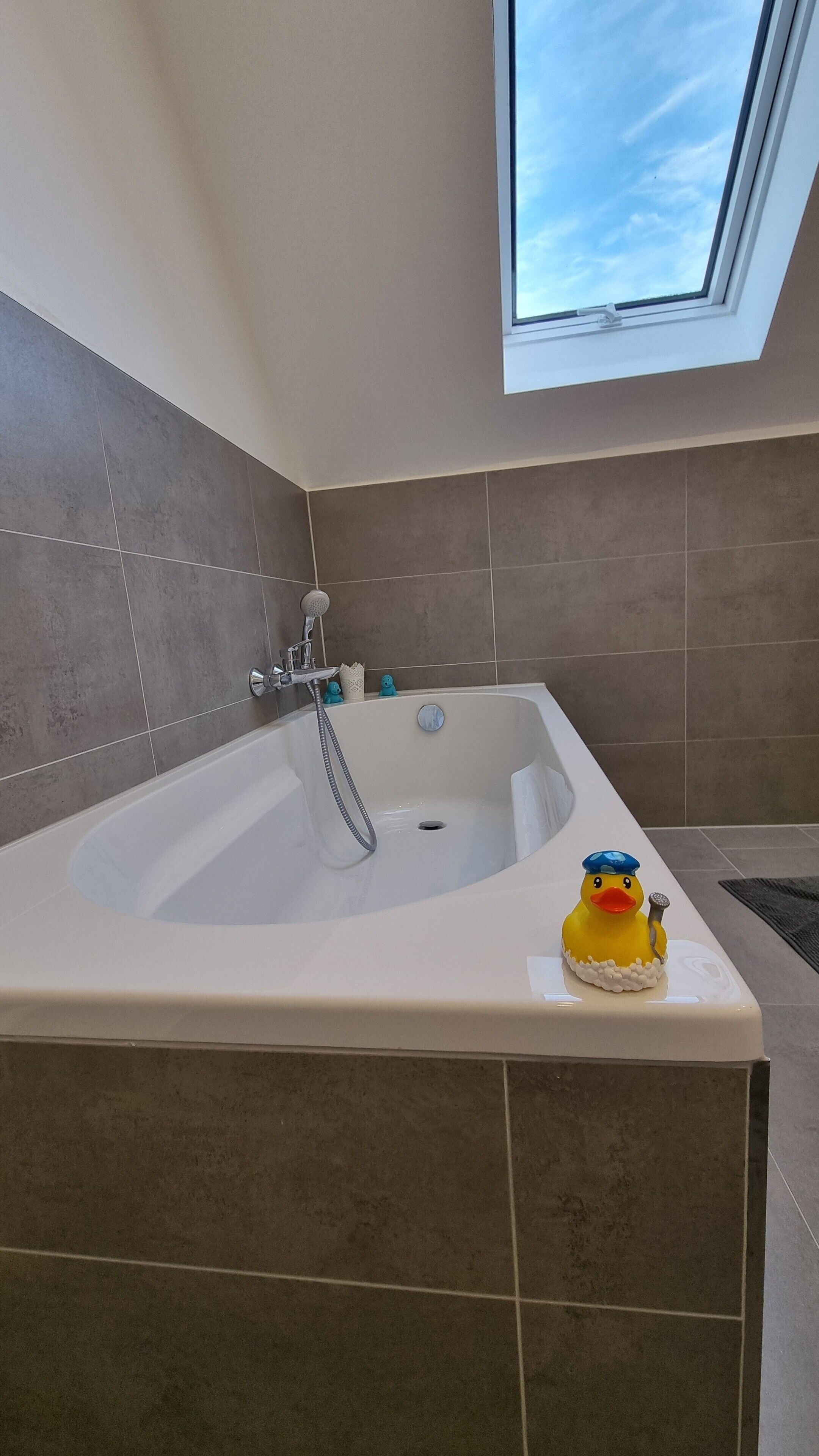 Dutxa, assecador de cabells i tovalloles 