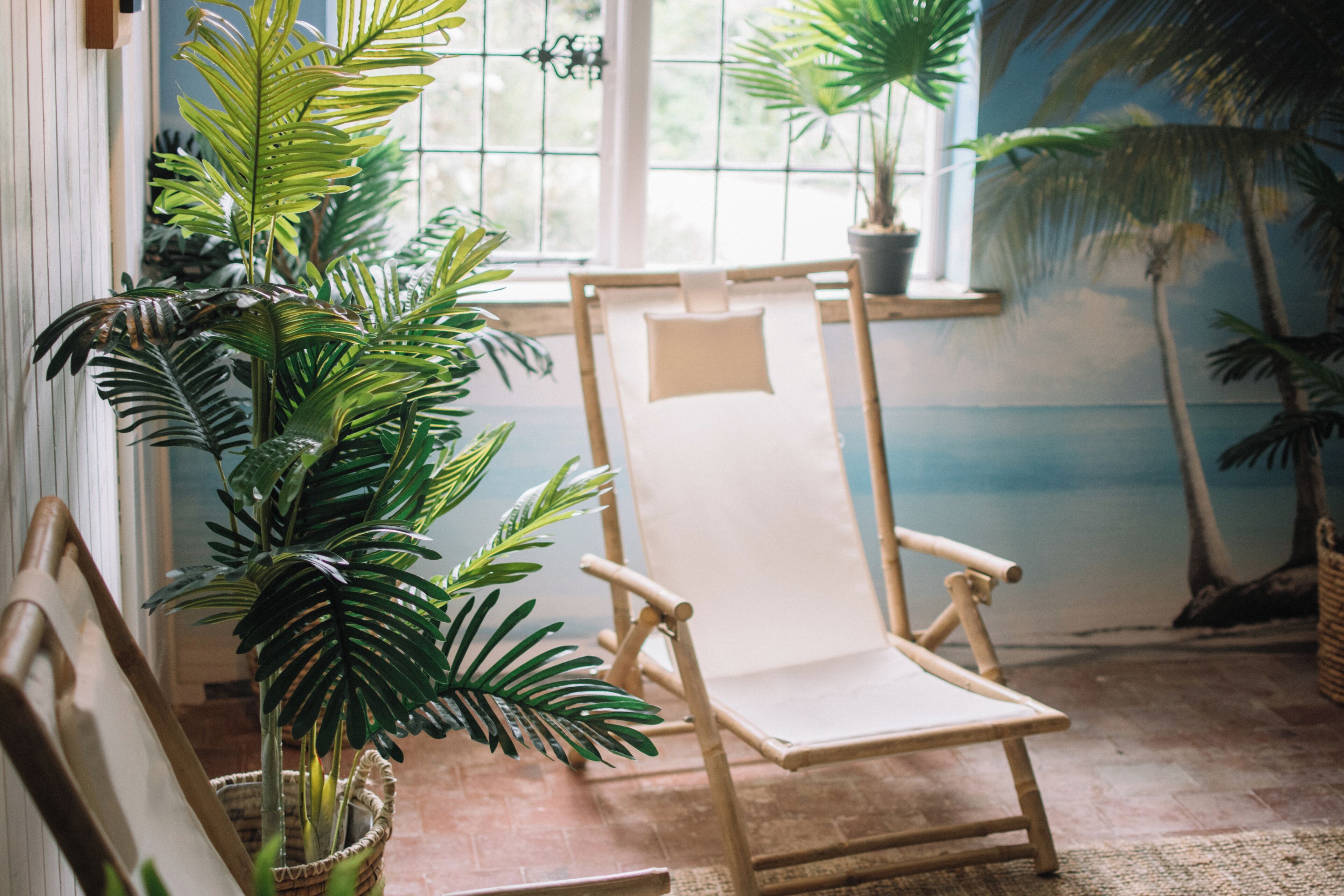 A room with a large window, a wooden chair, and several potted plants.