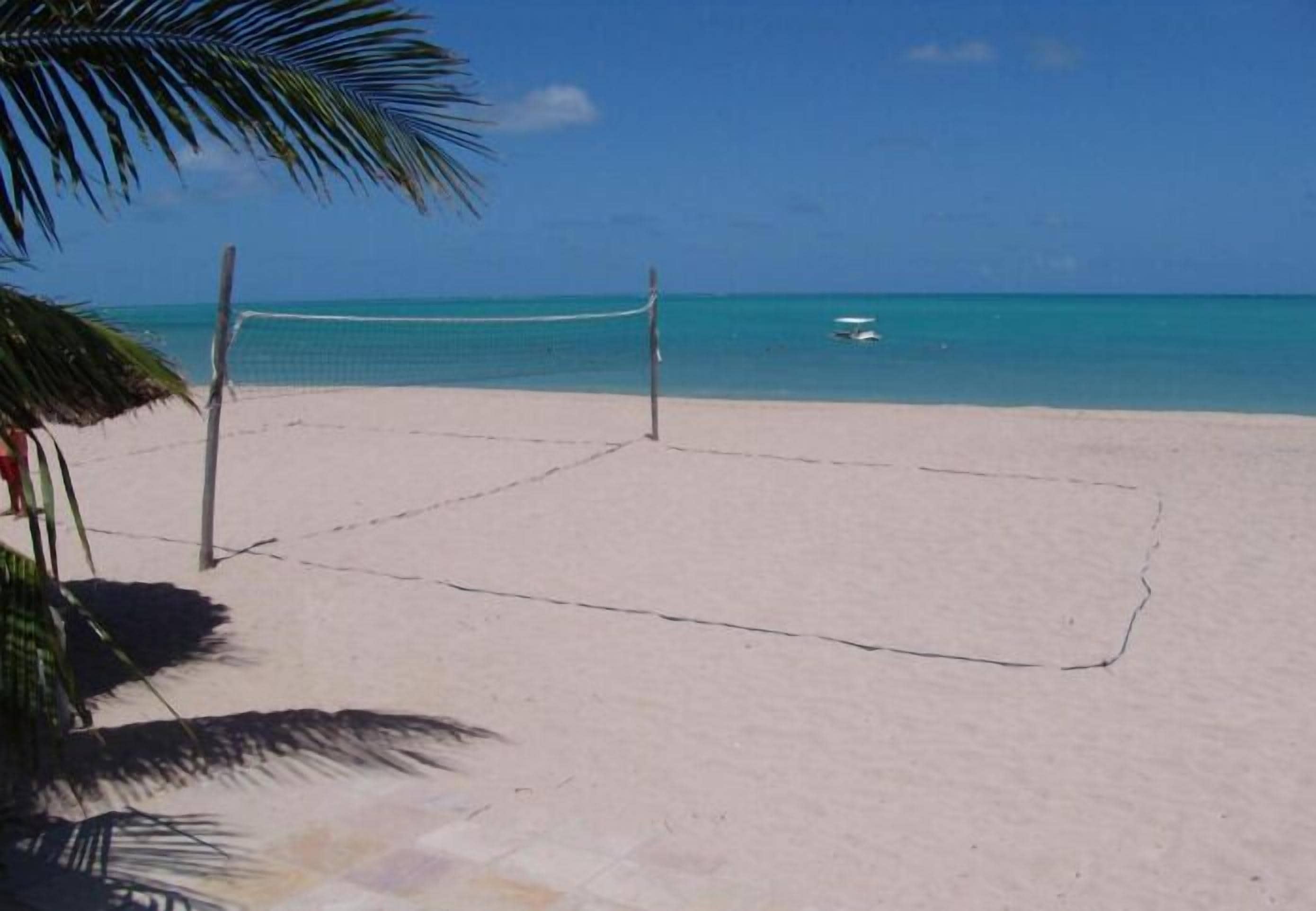 Una cancha de voleibol de playa con una red, palmeras y el océano al fondo.
