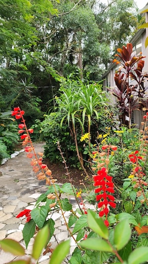 花園