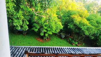 A garden with various trees and a metal roof structure.