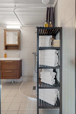 Ducha, secador de pelo y toallas