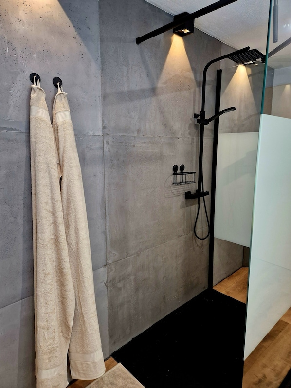 Shower, hair dryer, towels, soap