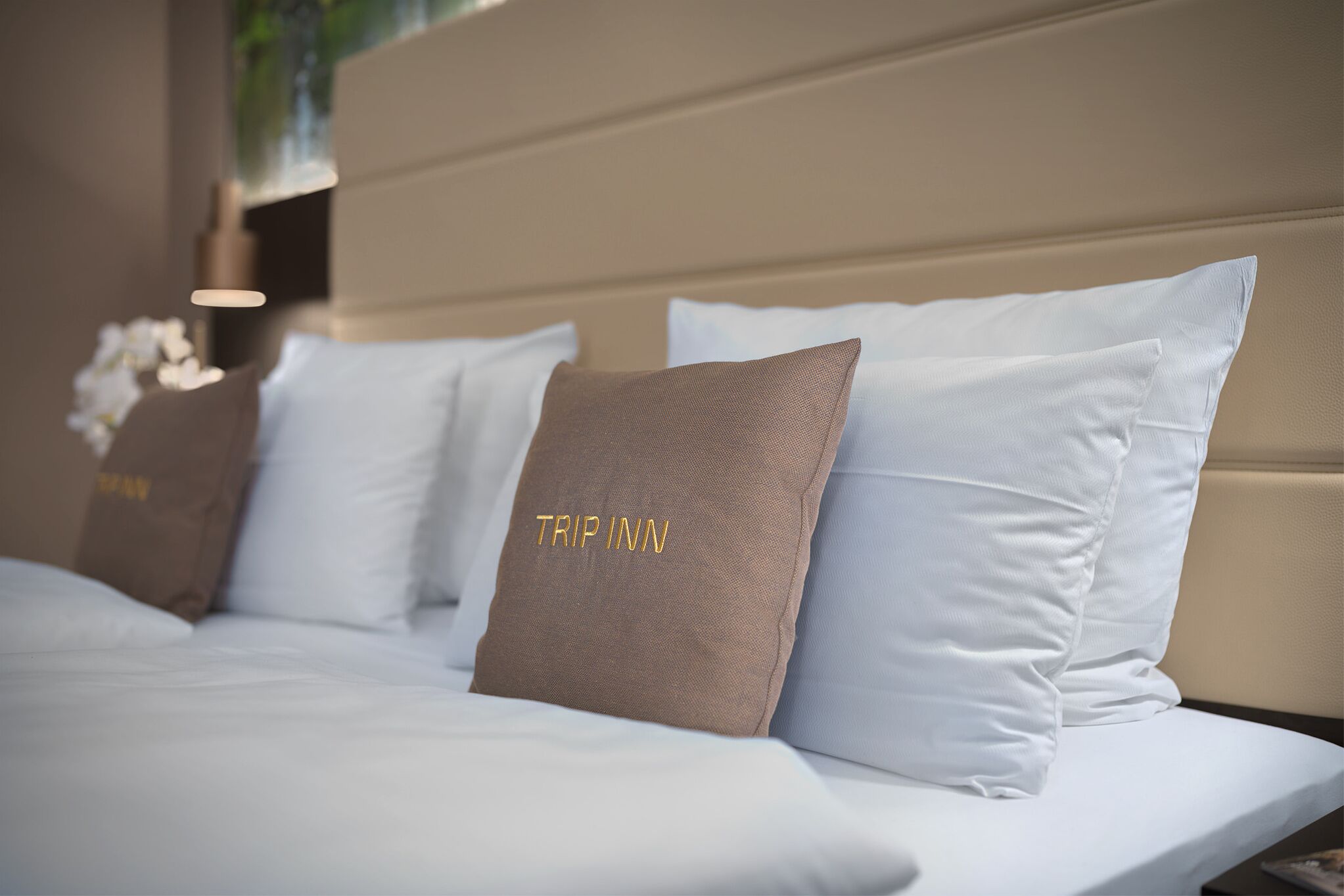 In-room safe, desk, blackout drapes, soundproofing