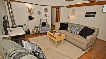 TV connectée, cheminée, livres