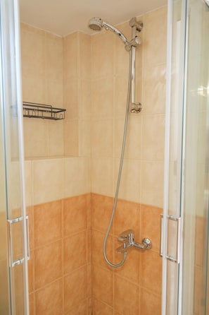 Shower, hair dryer, towels