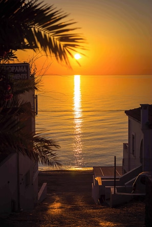 A sunset view over a calm sea, a building with a sign, and a palm tree.