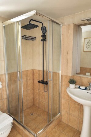 Shower, hair dryer, towels