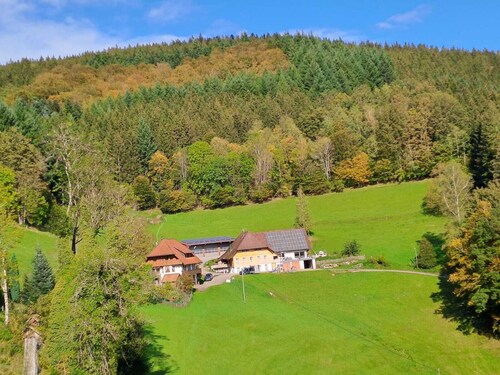 Appartement 'Leibgeding' avec balcon et Wi-Fi