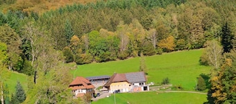 Apartment 'Leibgeding' with Balcony and Wi-Fi