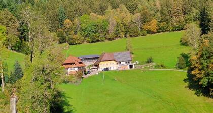 Appartement 'Leibgeding' avec balcon et Wi-Fi