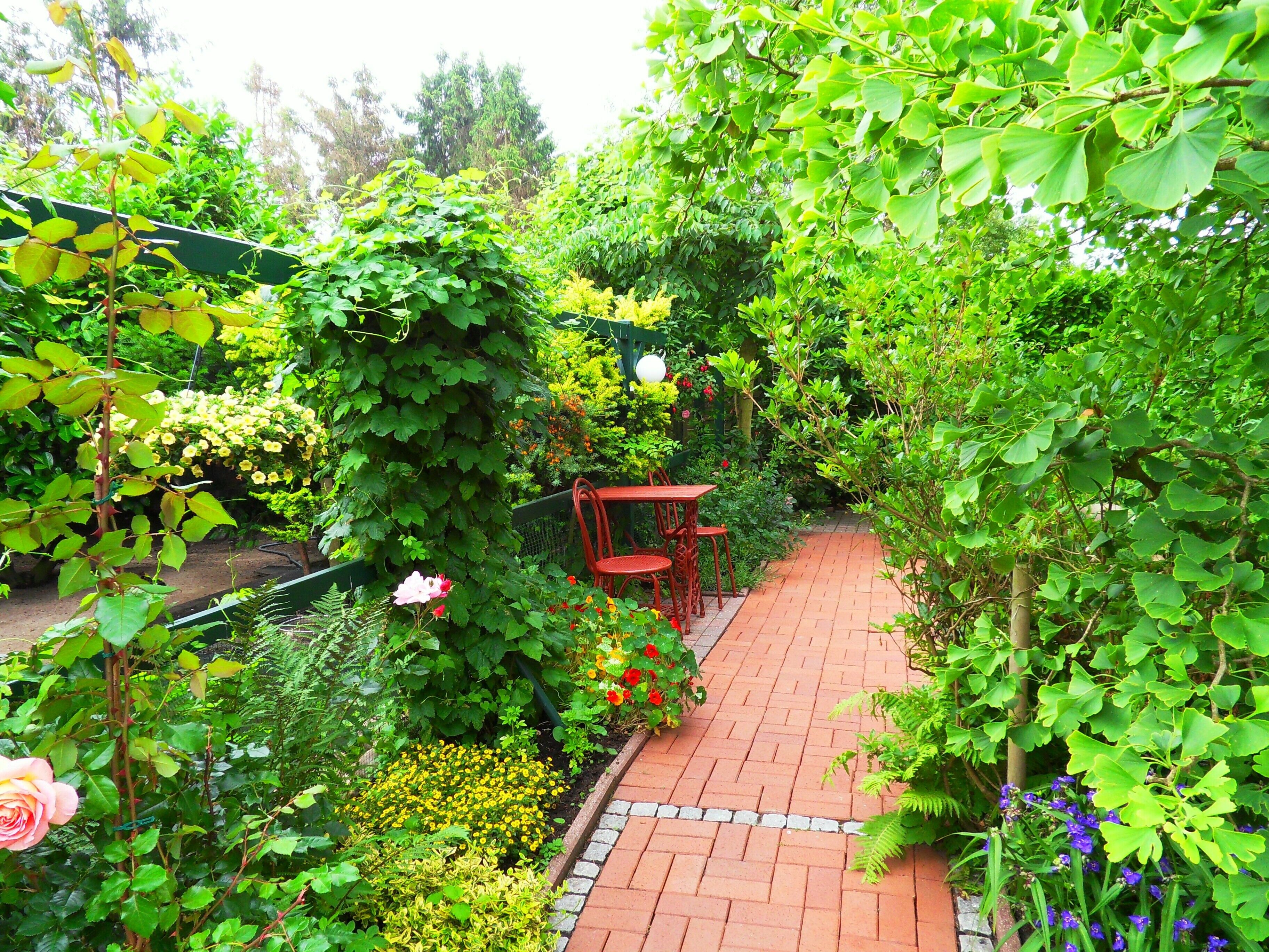 Un sentier de jardin dallé de briques, bordé d’une végétation luxuriante et de plantes en fleurs.