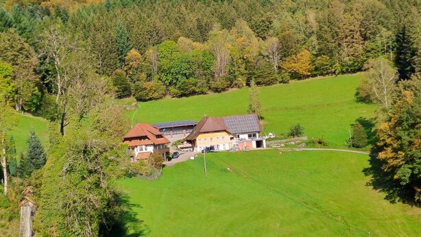 A rural house with a sloped roof, surrounded by green fields and a forested hill.