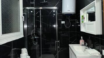 Shower, hair dryer, bidet, towels