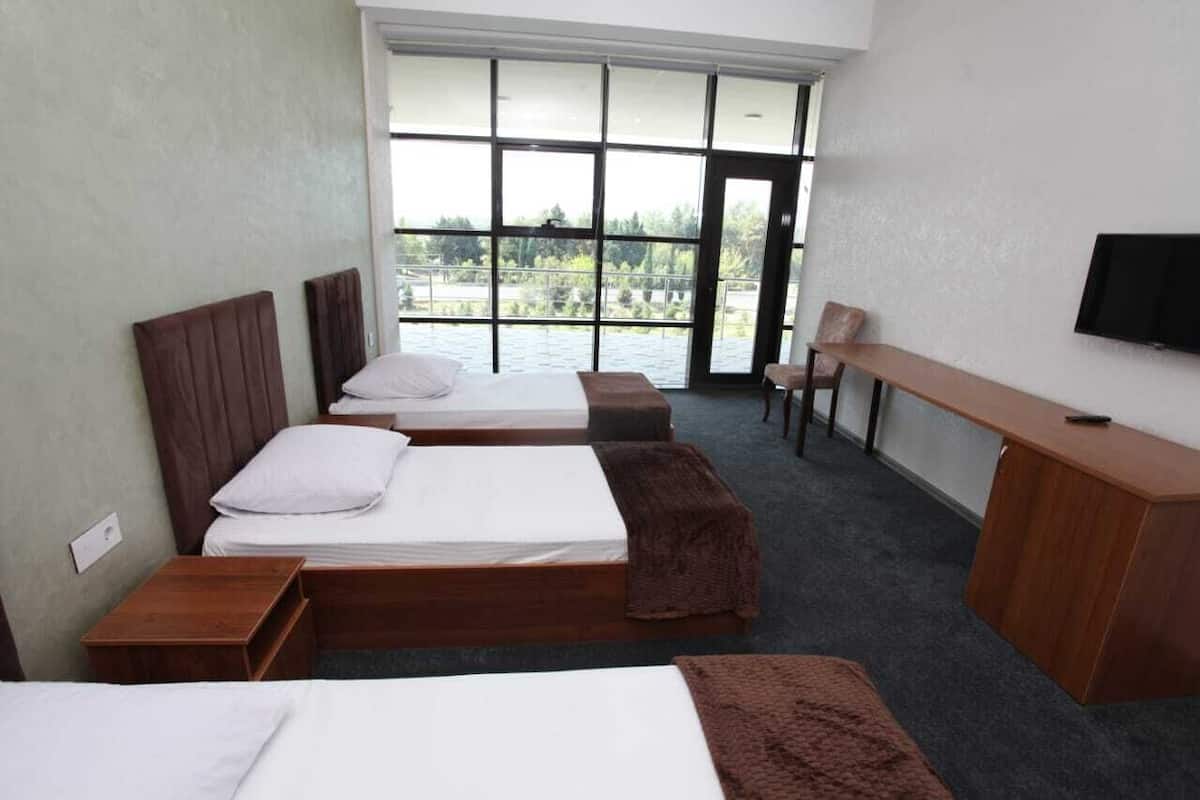 Standard Triple Room, City View