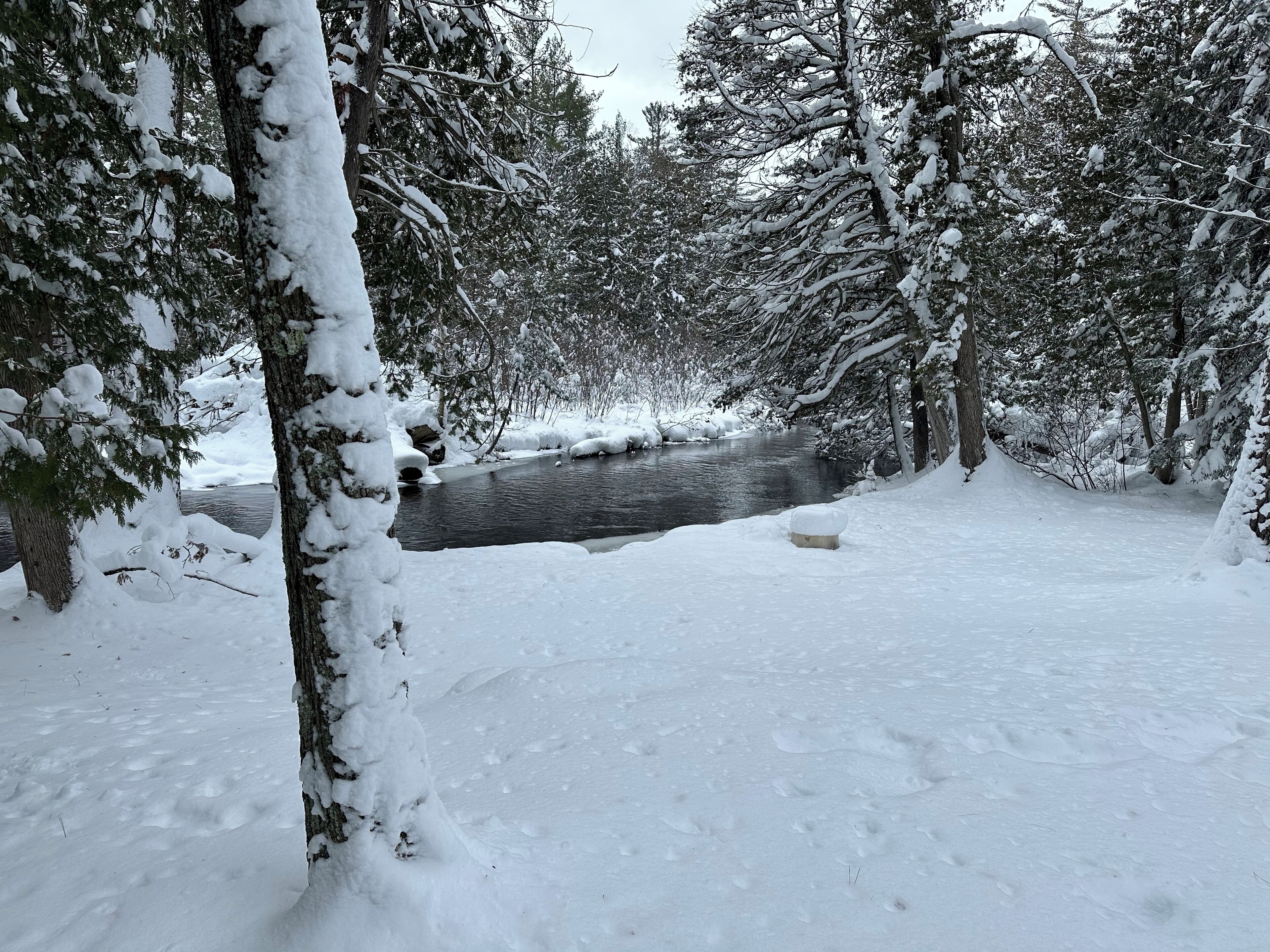 Un paysage enneigé avec une rivière, des arbres et un banc recouvert de neige.