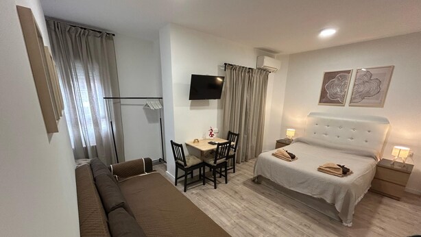 A hotel room with a bed, a sofa, a desk with chairs, a television, and artwork on the wall. - Habitaciones en Embajadores (Madrid)