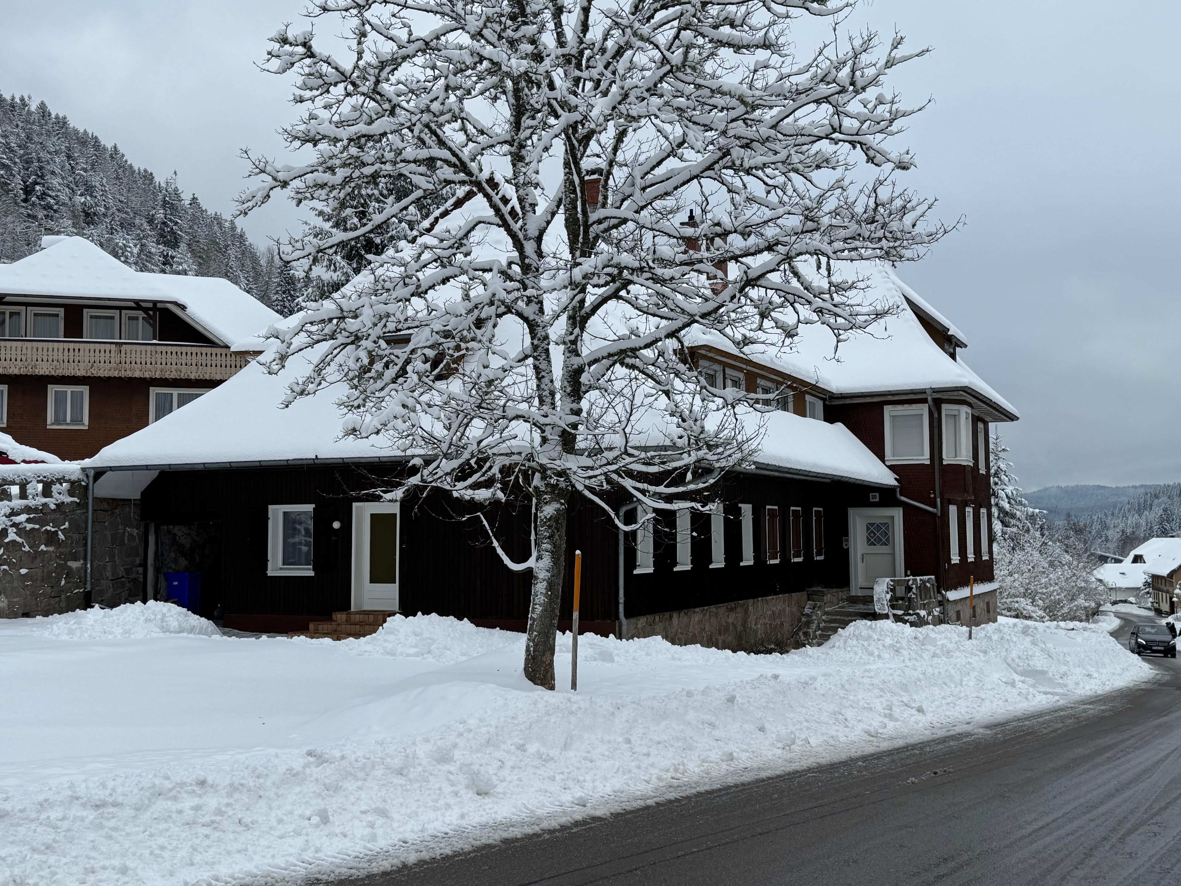 A snow-covered residential area with houses, a tree, and a road.