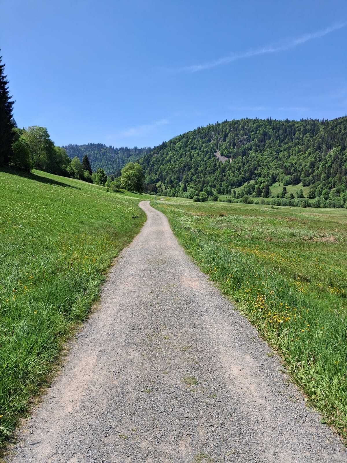 Un sendero de grava que atraviesa un campo verde con una colina boscosa al fondo.