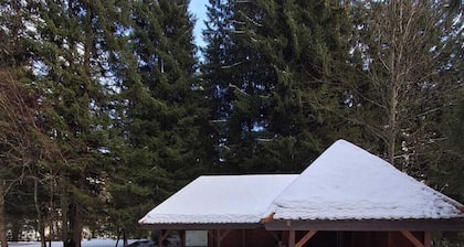 Vacation apartment "Schwarzwaldgeflüster" Pure relaxation in Menzenschwand-Nature, peace and quiet