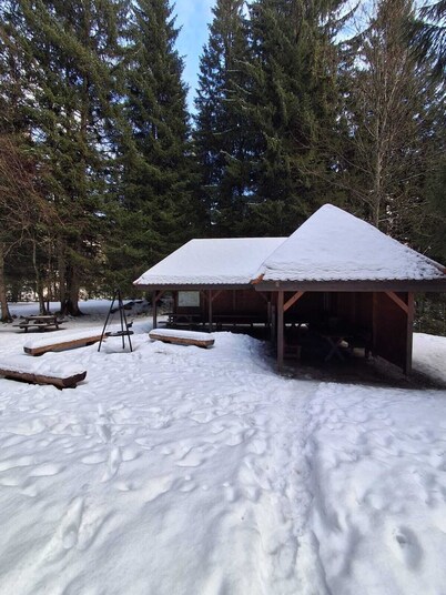 Vacation apartment "Schwarzwaldgeflüster" Pure relaxation in Menzenschwand-Nature, peace and quiet