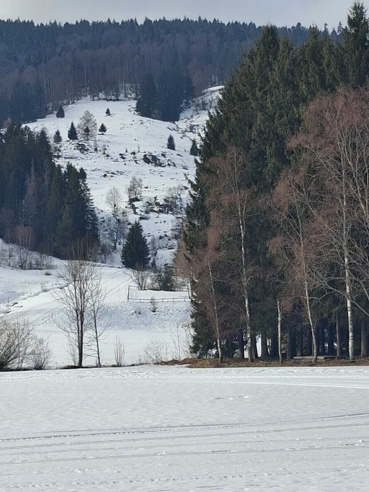 A snow-covered landscape with a hill, trees, and a clear sky.